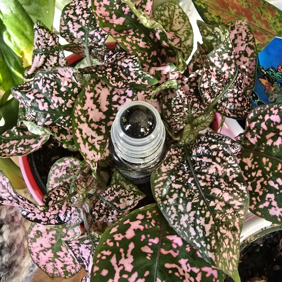 Strength Essential Oil Roller Ball Perfume - Picture 4 of 4